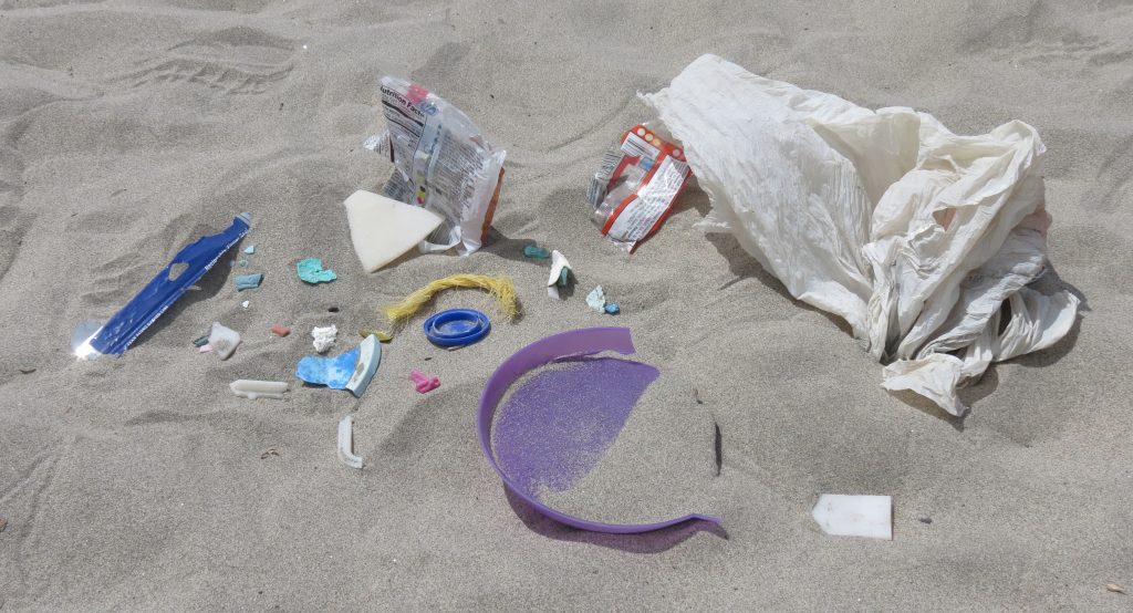 Image of plastic debris on Oregon’s Clatsop Beach by Tiffany Woods | Oregon Sea Grant.