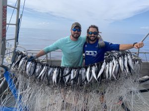 Barry Walton and Bryan Keller prepare to deploy a longline in the Gulf of Mexico (photo credit Anthony Sogluizzo). Here you can see baited hooks; this research focused on decreasing the bycatch of pelagic sharks.