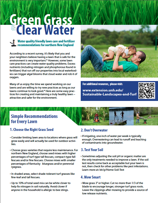 Lawn care information sheet and brochure
