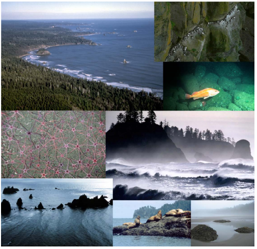 Olympic National Marine Sanctuary Climate Change Assessment
