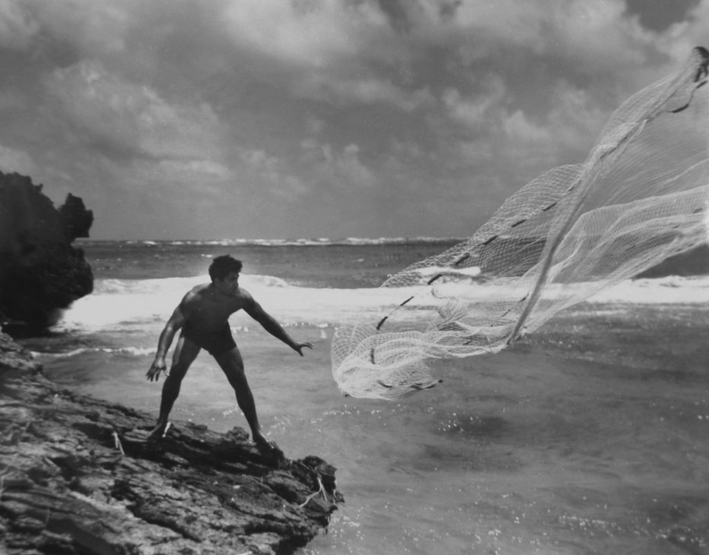 Native Hawaiian fisherman casting net from shore