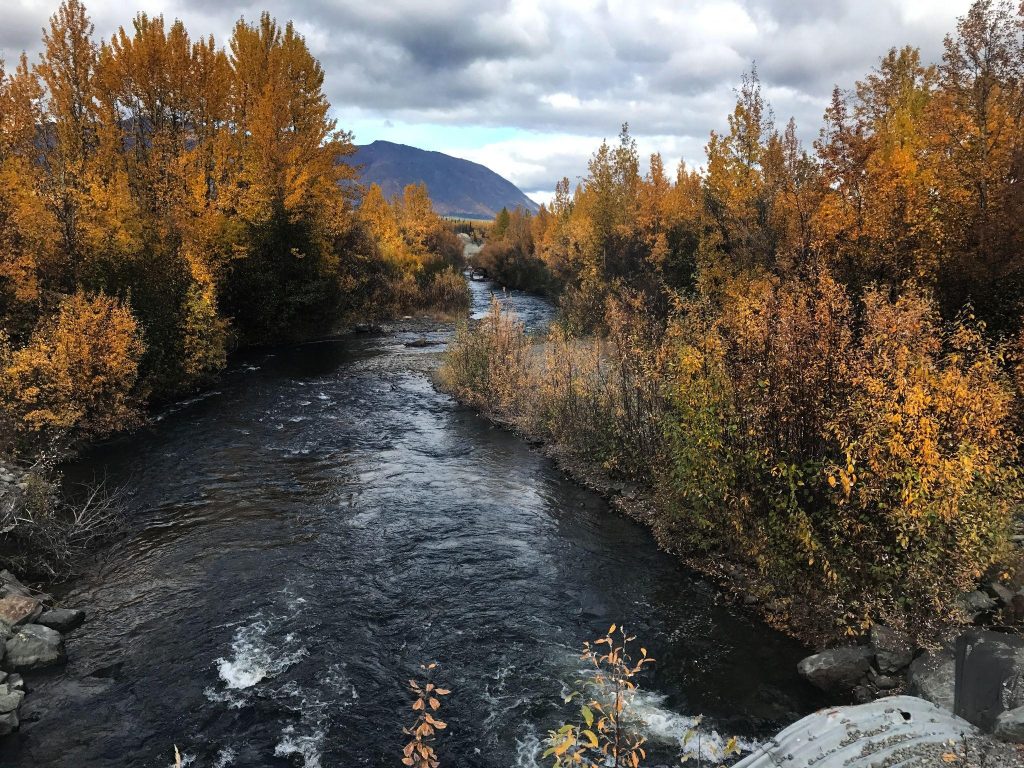 A free-flowing river with some fall foliage.