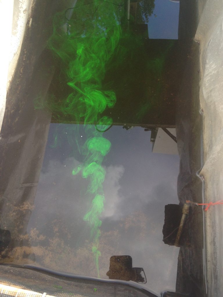 An overhead view of a neon green chemical plume in a stream. The plume is moving from left to right and changes size and shape as it moves farther to the right.