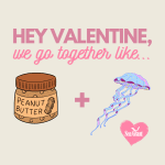 "Hey Valentine, we go together like peanut butter + jellyfish"