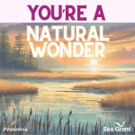 "You're a Natural Wonder"