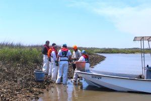 A group of people wearing life vests and work gloves stand near a boat and a shoreline with marsh and oyster reefs. They are collecting oysters and placing them in baskets.