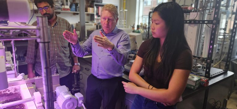 Three people stand in a lab facing a seaweed growing system under fluorescent light.