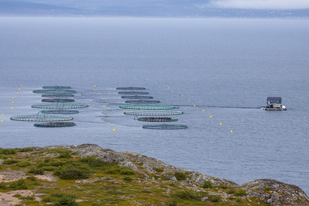 An ocean aquaculture site with circular fish pens in Norway.