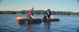 Two women in waist-deep water handle oyster cages with a bridge and trees in the background.