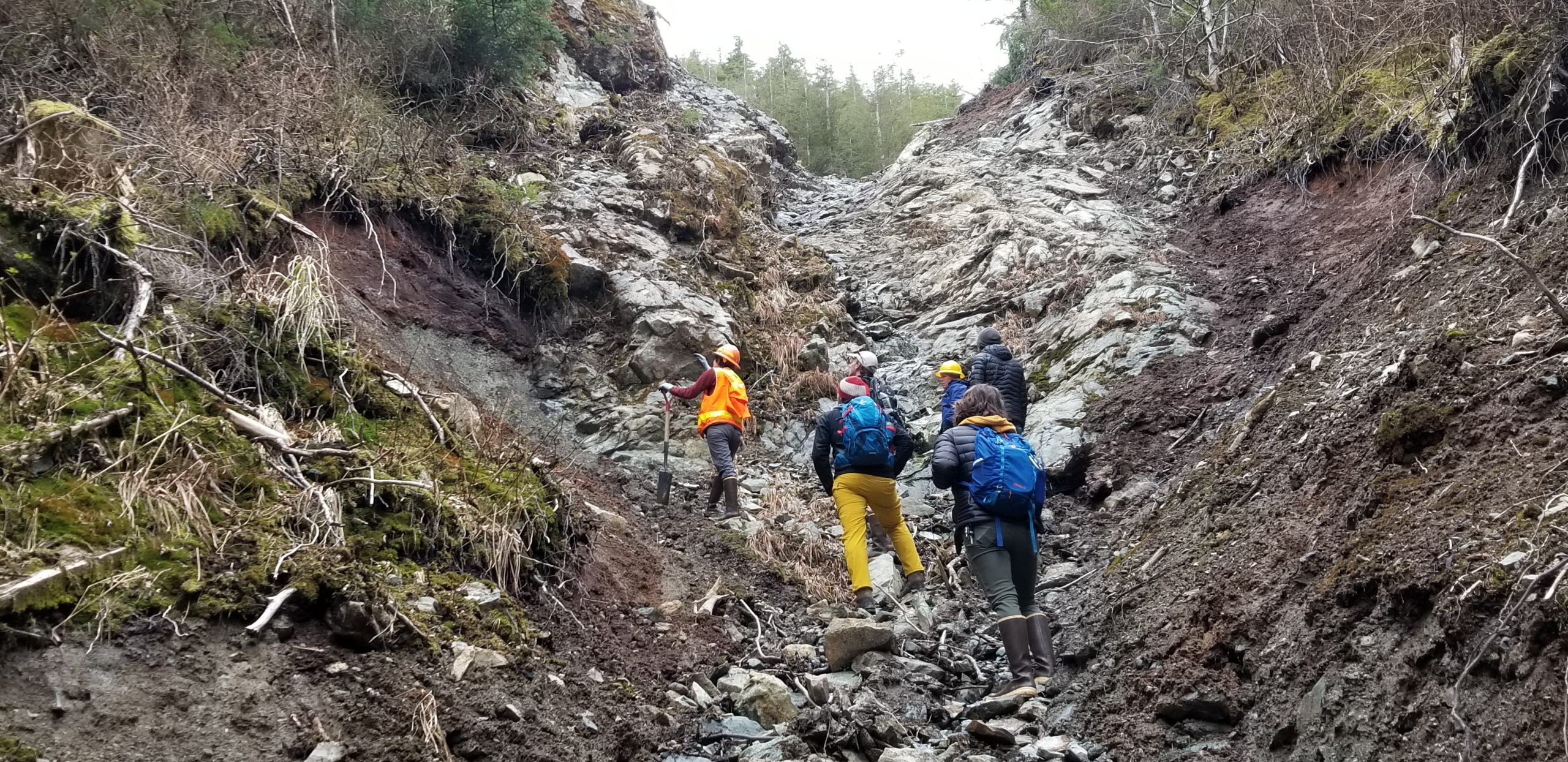 Five individuals with their backs towards the camera stand in the middle of a cliff looking at the headwall.