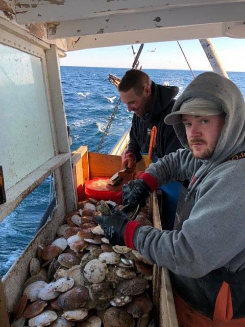 Two people sorting a large pile of scallops on a fishing boat, with open ocean visible in the background.