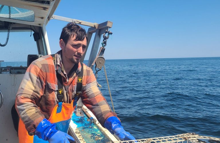 A person wear rubber gloves and coveralls holds a lobster cage over the side of a boat