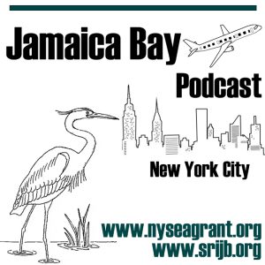 JamaicaBay-PodcastArt