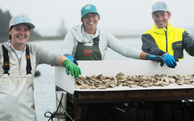 Image of shellfish harvesters from Maine Sea Grant.