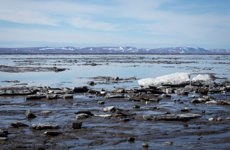 Arctic seascape with scattered icebergs, rocky shoreline, and distant snow-capped mountains under a partly cloudy sky, as the ice begins to melt in the warming sun.